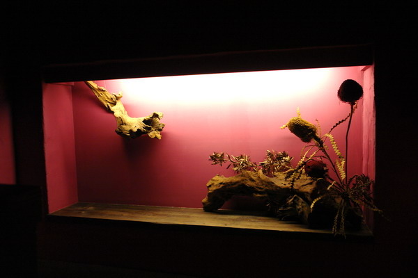 新竹美食周記(七)--東方軒(芙洛麗飯店)--最in的中餐廳--夢幻教堂現身&&&加映好口碑有質感的yummy中餐廳