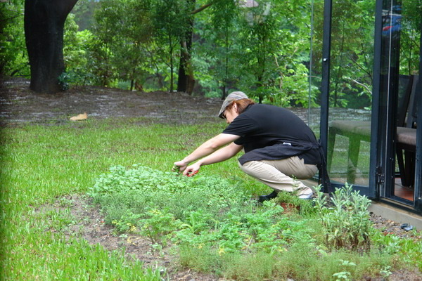 新竹美食周記(十)Buono Bella 義大利餐廳--超級漂亮有個性-阿德主廚崇尚天然又風趣
