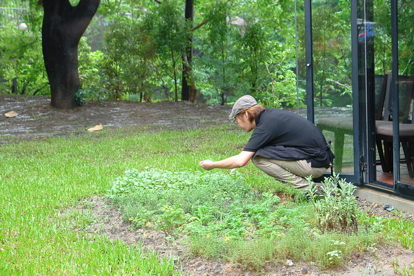 新竹美食周記(十)Buono Bella 義大利餐廳--超級漂亮有個性-阿德主廚崇尚天然又風趣