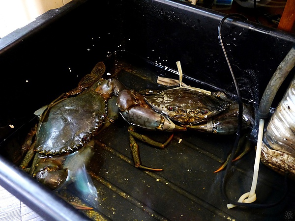 相片 13-9-6 下午11 38 10.jpg 相片 13-9-6 下午11 38 10.jpg