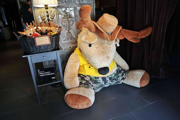 IMG_0934-01 (Copy) (Copy)