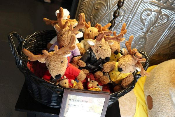 IMG_0936-01 (Copy) (Copy)