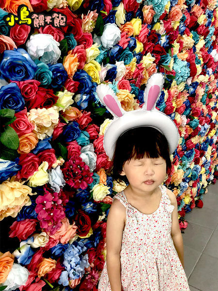 台南東區《台南民宿 黃色風箏yellowkite》溜滑梯民宿又一發！貼心親切服務周到，親子/寵物友善住宿推薦