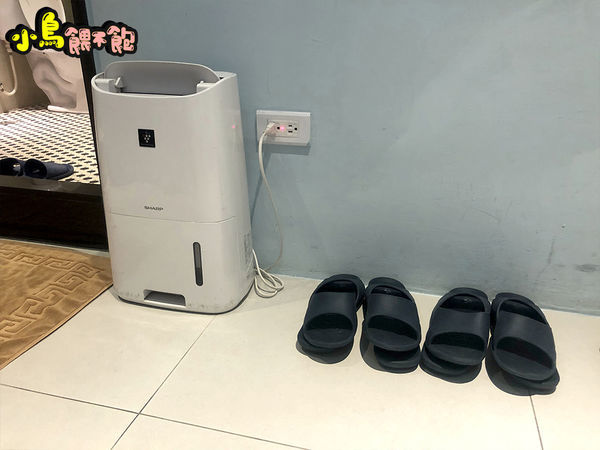 台南東區《台南民宿 黃色風箏yellowkite》溜滑梯民宿又一發！貼心親切服務周到，親子/寵物友善住宿推薦