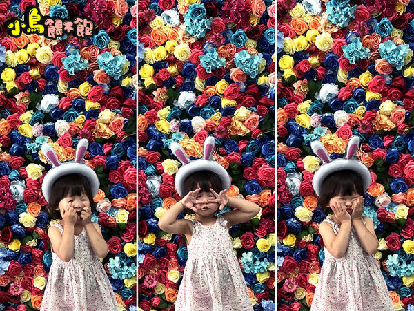 台南東區《台南民宿 黃色風箏yellowkite》溜滑梯民宿又一發！貼心親切服務周到，親子/寵物友善住宿推薦