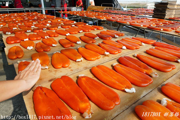 【雲林。口湖】來自海洋的烏金。探訪烏魚子的故鄉。豐樺水產（一口鱻）。傳承一甲子的好味道