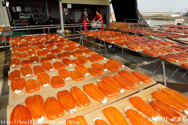 【雲林。口湖】來自海洋的烏金。探訪烏魚子的故鄉。豐樺水產（一口鱻）。傳承一甲子的好味道