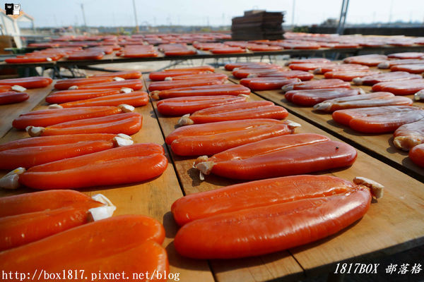 【雲林。口湖】來自海洋的烏金。探訪烏魚子的故鄉。豐樺水產（一口鱻）。傳承一甲子的好味道