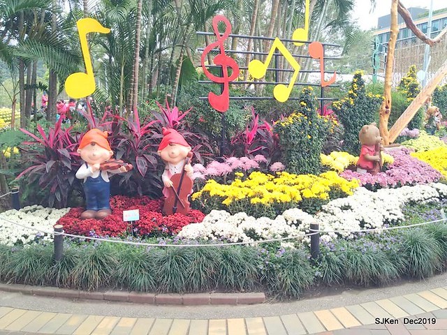 2019 chrysanthemum exhibition at Shulin Official residence, Taipei, Taiwan, Dec 4, 2019