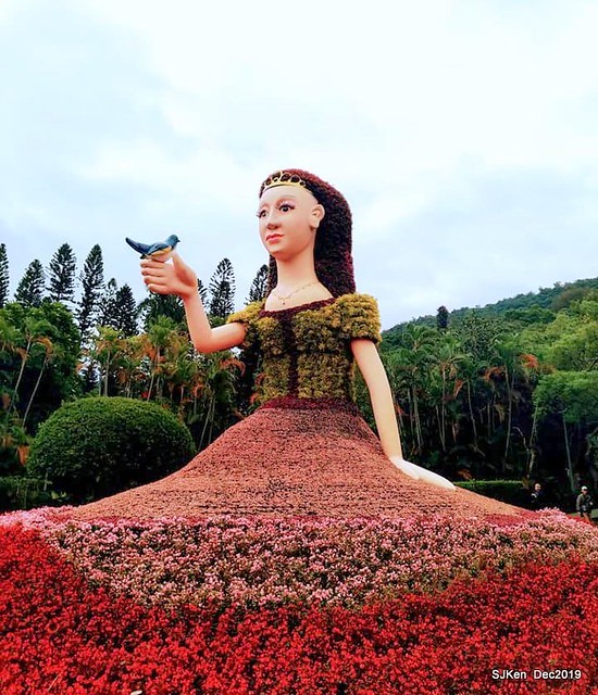 2019 chrysanthemum exhibition at Shulin Official residence, Taipei, Taiwan, Dec 4, 2019