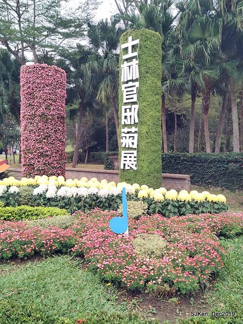 2019 chrysanthemum exhibition at Shulin Official residence, Taipei, Taiwan, Dec 4, 2019