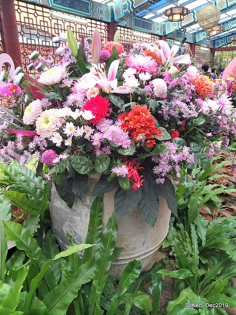 2019 chrysanthemum exhibition at Shulin Official residence, Taipei, Taiwan, Dec 4, 2019