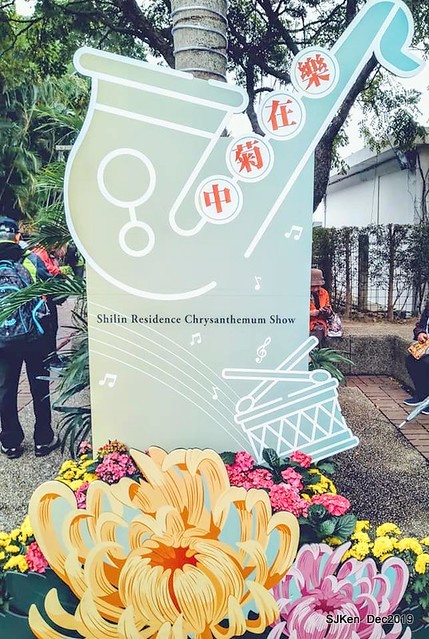 2019 chrysanthemum exhibition at Shulin Official residence, Taipei, Taiwan, Dec 4, 2019