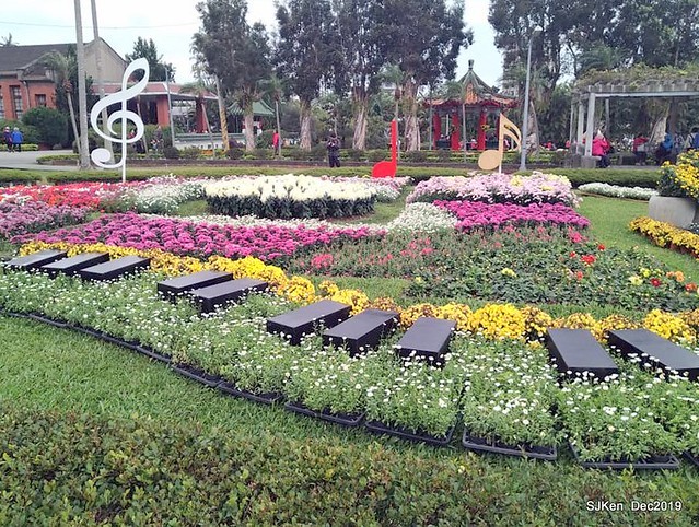 2019 chrysanthemum exhibition at Shulin Official residence, Taipei, Taiwan, Dec 4, 2019