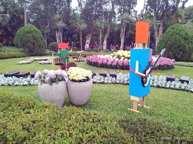 2019 chrysanthemum exhibition at Shulin Official residence, Taipei, Taiwan, Dec 4, 2019