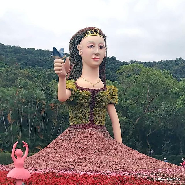 2019 chrysanthemum exhibition at Shulin Official residence, Taipei, Taiwan, Dec 4, 2019