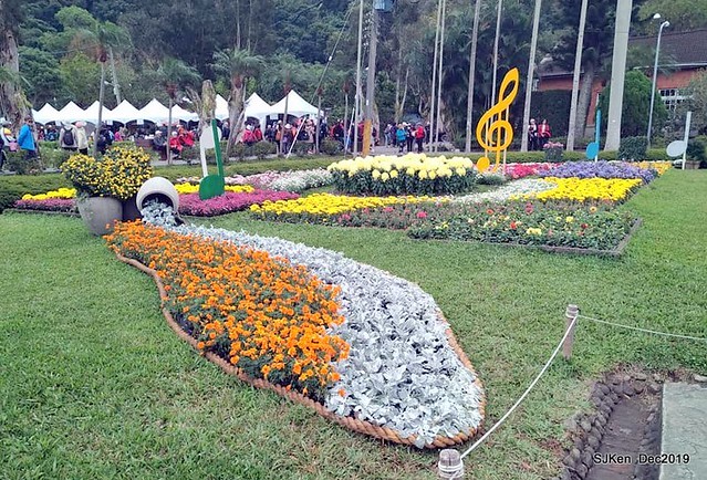 2019 chrysanthemum exhibition at Shulin Official residence, Taipei, Taiwan, Dec 4, 2019