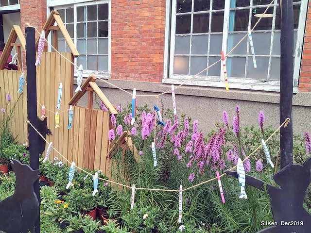 2019 chrysanthemum exhibition at Shulin Official residence, Taipei, Taiwan, Dec 4, 2019