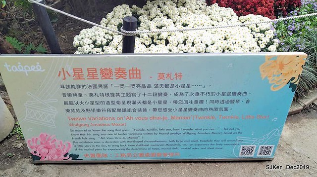 2019 chrysanthemum exhibition at Shulin Official residence, Taipei, Taiwan, Dec 4, 2019