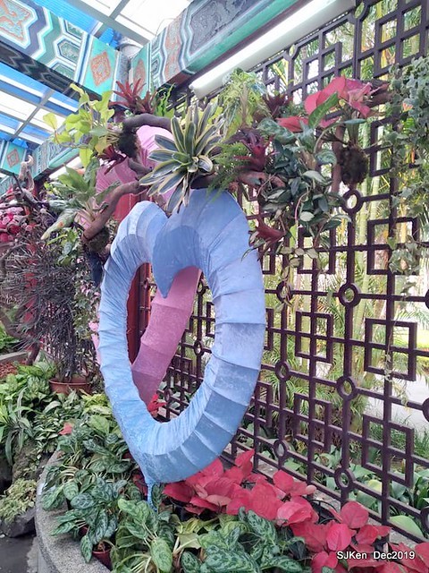 2019 chrysanthemum exhibition at Shulin Official residence, Taipei, Taiwan, Dec 4, 2019