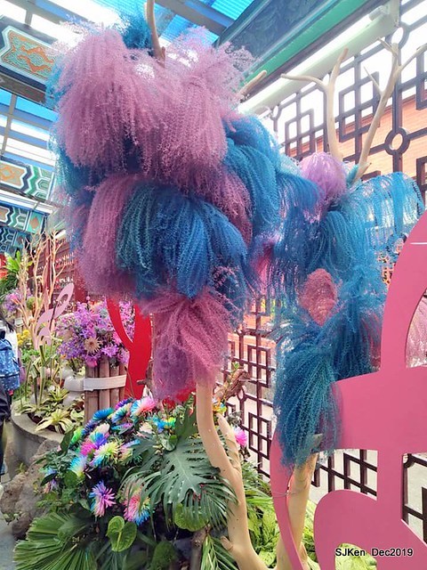 2019 chrysanthemum exhibition at Shulin Official residence, Taipei, Taiwan, Dec 4, 2019