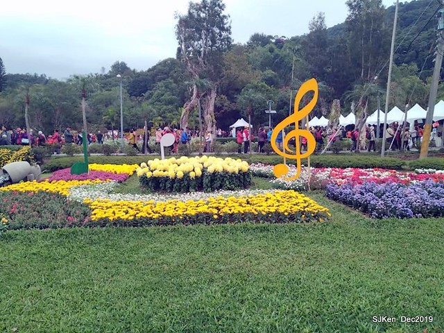 2019 chrysanthemum exhibition at Shulin Official residence, Taipei, Taiwan, Dec 4, 2019