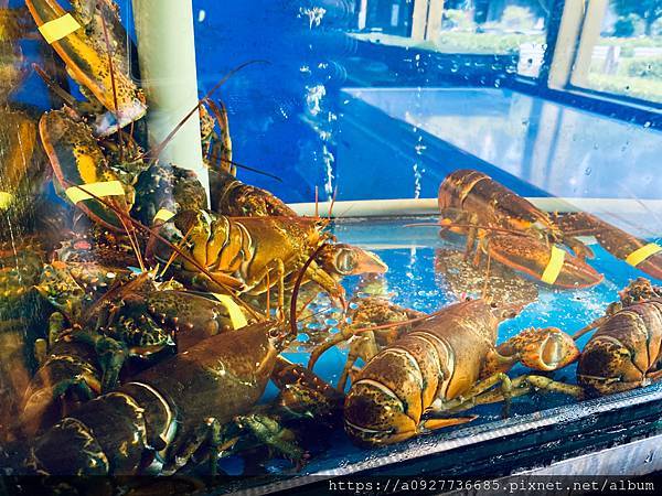 台北市推薦-饗瘦鐵板燒|小資族推薦頂級鐵板燒(內有菜單) #台北高級鐵板燒#小巨蛋鐵板燒