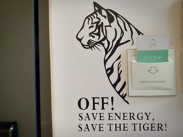 75341064_562132607855205_3648876366390099968_n 75341064_562132607855205_3648876366390099968_n