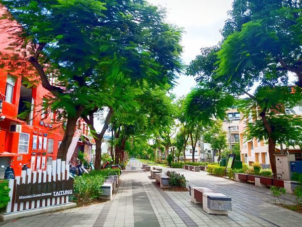 75594487_411616899788605_261025185715453952_n 75594487_411616899788605_261025185715453952_n