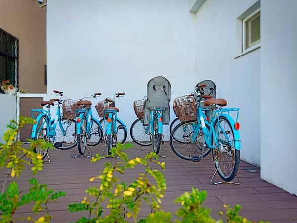 75264958_1501436400009145_6487515372957204480_n 75264958_1501436400009145_6487515372957204480_n