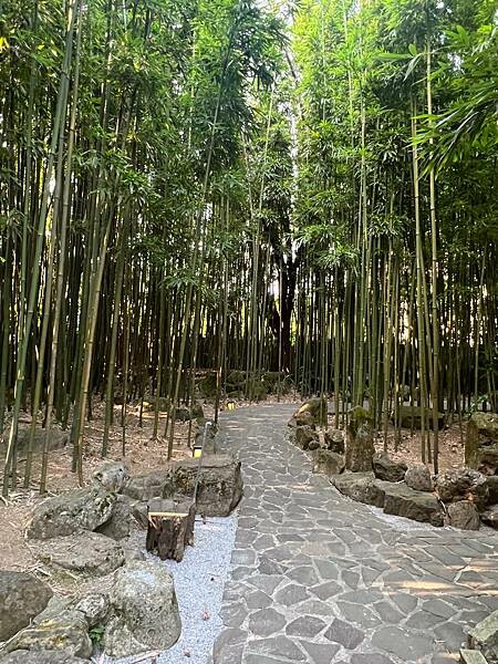 陽明山超好拍照的竹林咖啡廳:CAMA豆留森林。日式老宅