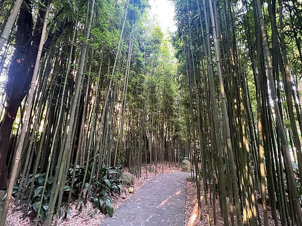 陽明山超好拍照的竹林咖啡廳:CAMA豆留森林。日式老宅