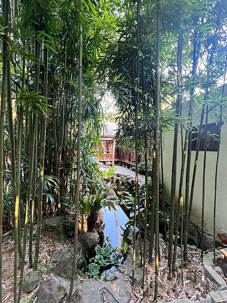 陽明山超好拍照的竹林咖啡廳:CAMA豆留森林。日式老宅