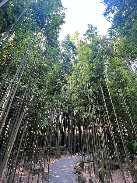 陽明山超好拍照的竹林咖啡廳:CAMA豆留森林。日式老宅