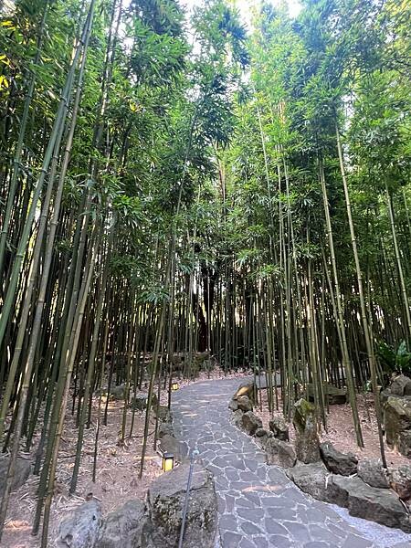 陽明山超好拍照的竹林咖啡廳:CAMA豆留森林。日式老宅