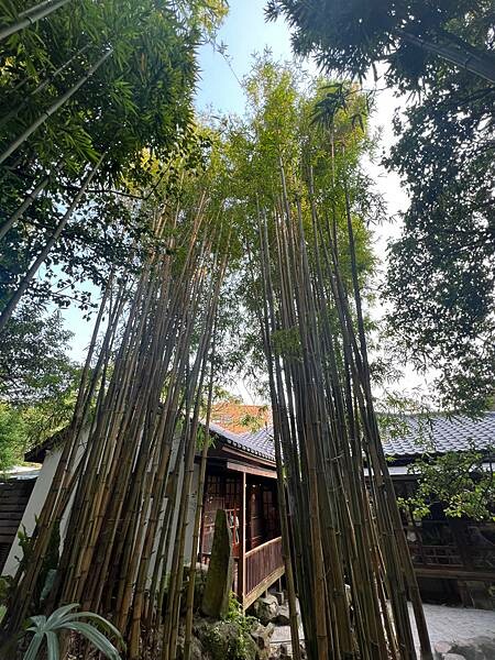 陽明山超好拍照的竹林咖啡廳:CAMA豆留森林。日式老宅