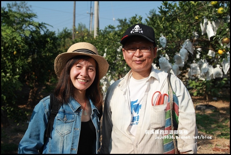 鹿鳴坑觀光果園29.JPG