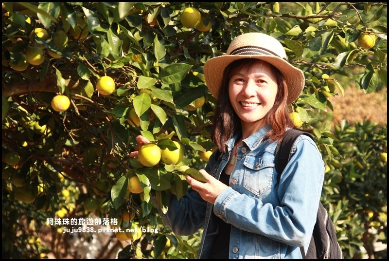 鹿鳴坑觀光果園39.JPG