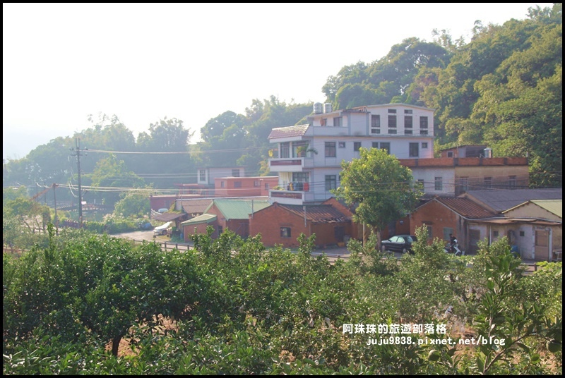 鹿鳴坑觀光果園41.JPG