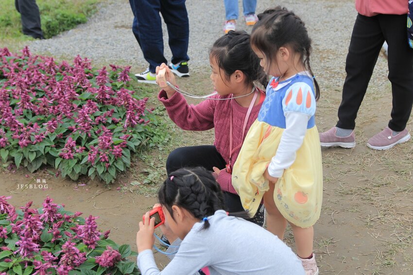 台北／古亭河濱公園花海－這不是國外！搭捷運就能賞大片紫色花海