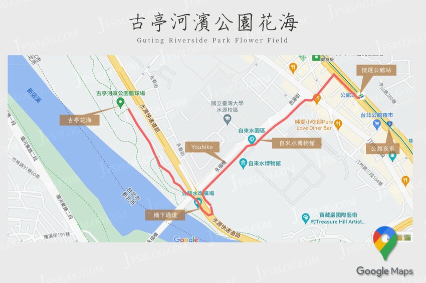 台北／古亭河濱公園花海－這不是國外！搭捷運就能賞大片紫色花海