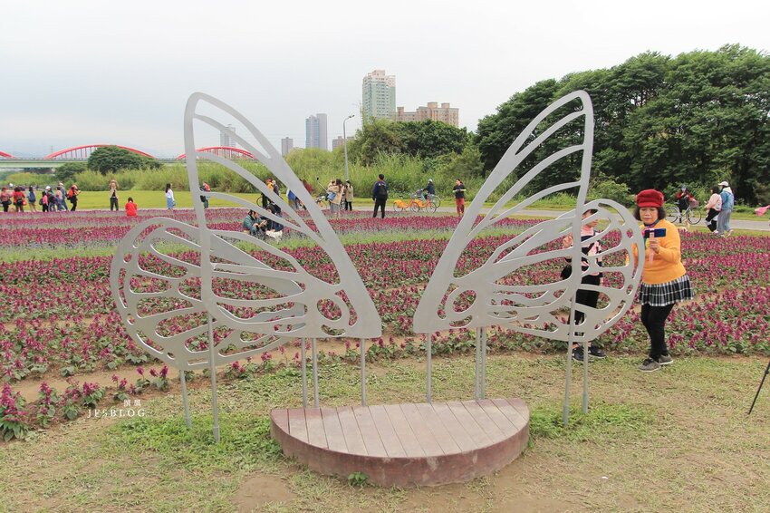 台北／古亭河濱公園花海－這不是國外！搭捷運就能賞大片紫色花海