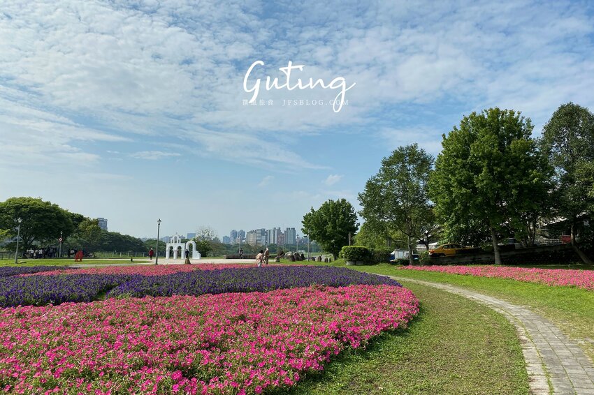 台北／古亭河濱公園花海－這不是國外！搭捷運就能賞大片紫色花海