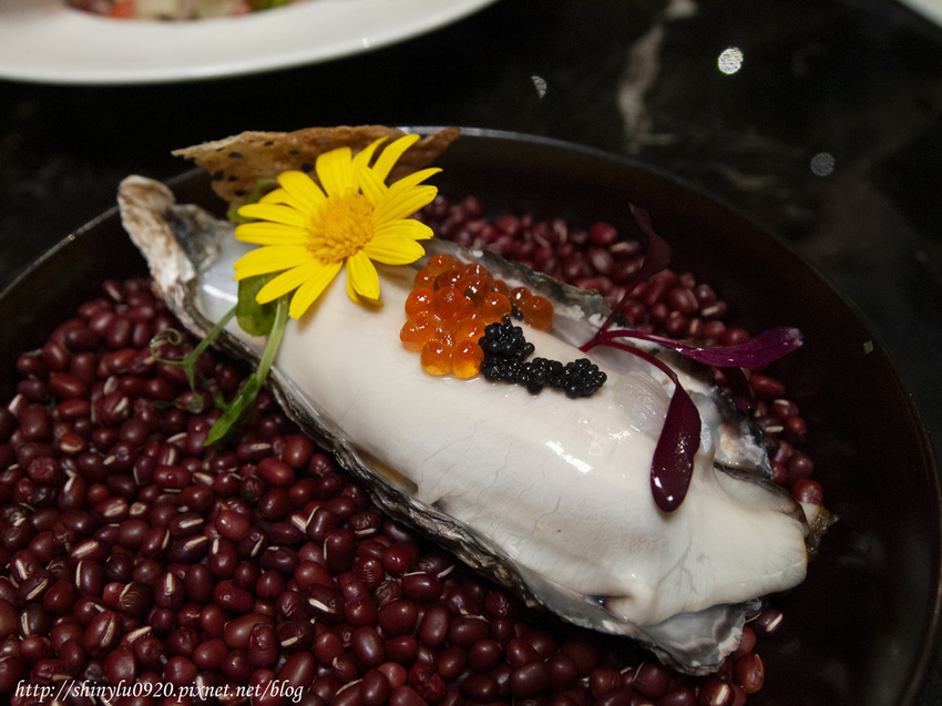 Perfect Places - 玩美世界中西創意料理餐酒館16.jpg