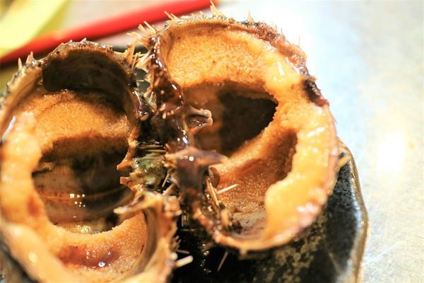 海膽 (2).jpg 海膽 (2).jpg