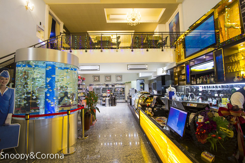 【新北市美食】林口水族主題餐廳｜ST 銀河系俱樂部｜水族寵物、下午茶～鯊魚、鸚鵡、爬蟲動物互動體驗，超另類親子餐廳