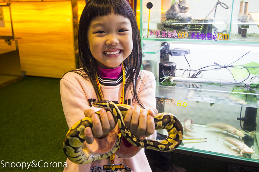 【新北市美食】林口水族主題餐廳｜ST 銀河系俱樂部｜水族寵物、下午茶～鯊魚、鸚鵡、爬蟲動物互動體驗，超另類親子餐廳