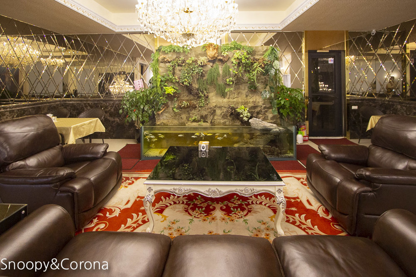 【新北市美食】林口水族主題餐廳｜ST 銀河系俱樂部｜水族寵物、下午茶～鯊魚、鸚鵡、爬蟲動物互動體驗，超另類親子餐廳