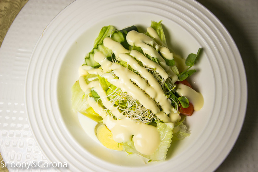 【新北市美食】林口水族主題餐廳｜ST 銀河系俱樂部｜水族寵物、下午茶～鯊魚、鸚鵡、爬蟲動物互動體驗，超另類親子餐廳