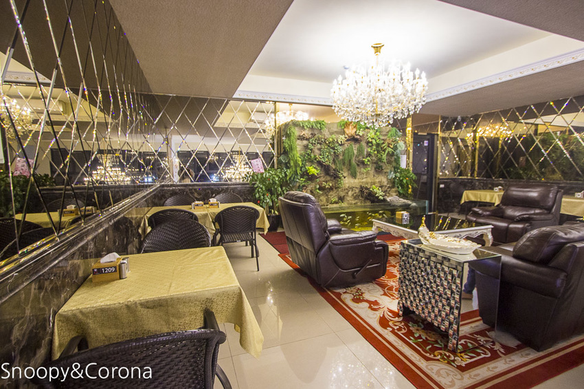 【新北市美食】林口水族主題餐廳｜ST 銀河系俱樂部｜水族寵物、下午茶～鯊魚、鸚鵡、爬蟲動物互動體驗，超另類親子餐廳